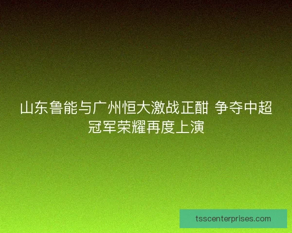 山东鲁能与广州恒大激战正酣 争夺中超冠军荣耀再度上演