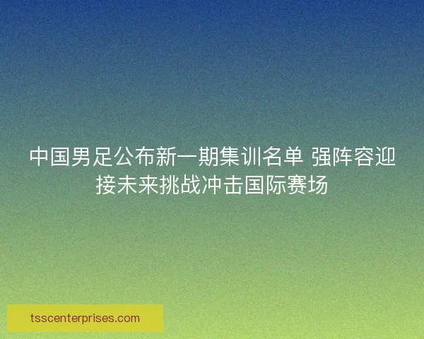 中国男足公布新一期集训名单 强阵容迎接未来挑战冲击国际赛场
