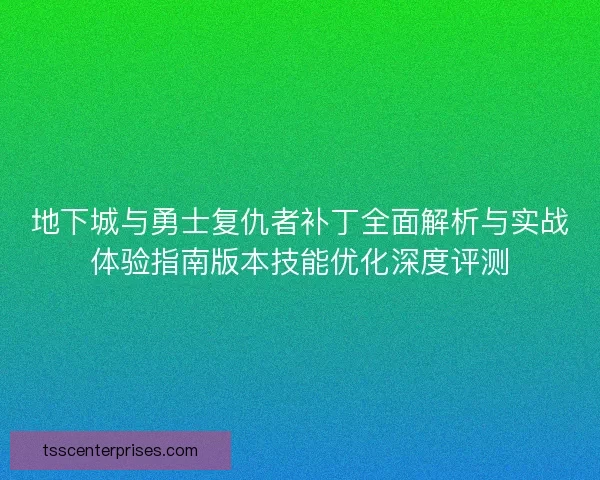 地下城与勇士复仇者补丁全面解析与实战体验指南版本技能优化深度评测