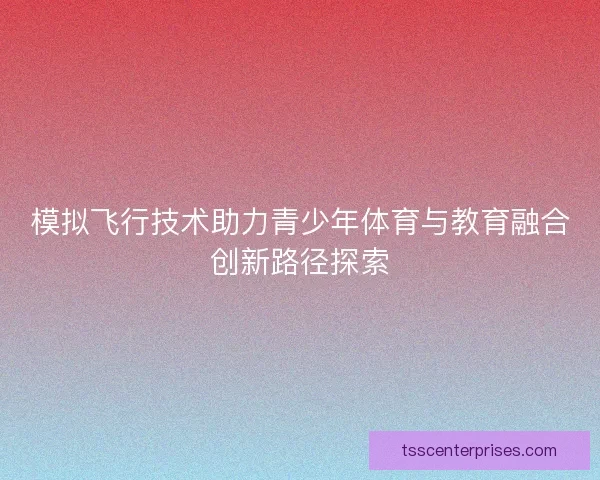 模拟飞行技术助力青少年体育与教育融合创新路径探索